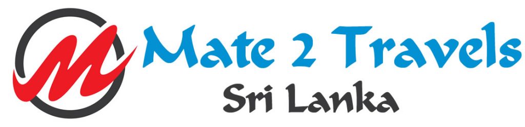 logo (12)